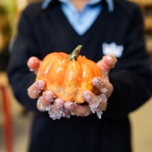 From pumpkins to eyeballs, slime to spiders, we are wishing our community a very spooky Halloween this evening #StMargaretsSchool #StMargaretsJuniorSchool
.
.
.
​​#StMargaretsHertfordshire #StMargaretsBushey #StMargaretsNursery #TheNursery #earlyeducation #nurseryschool #kindergarten #preschool #busheylife #busheymums #independentschool #schoollife #education #boardingschool #watford #stanmore #radlett #harrow #watfordmums #watfordlife #pinnermums #pinnerparents #preplife #prepschool #rickmansworthmums #stanmoremums #busheyheath